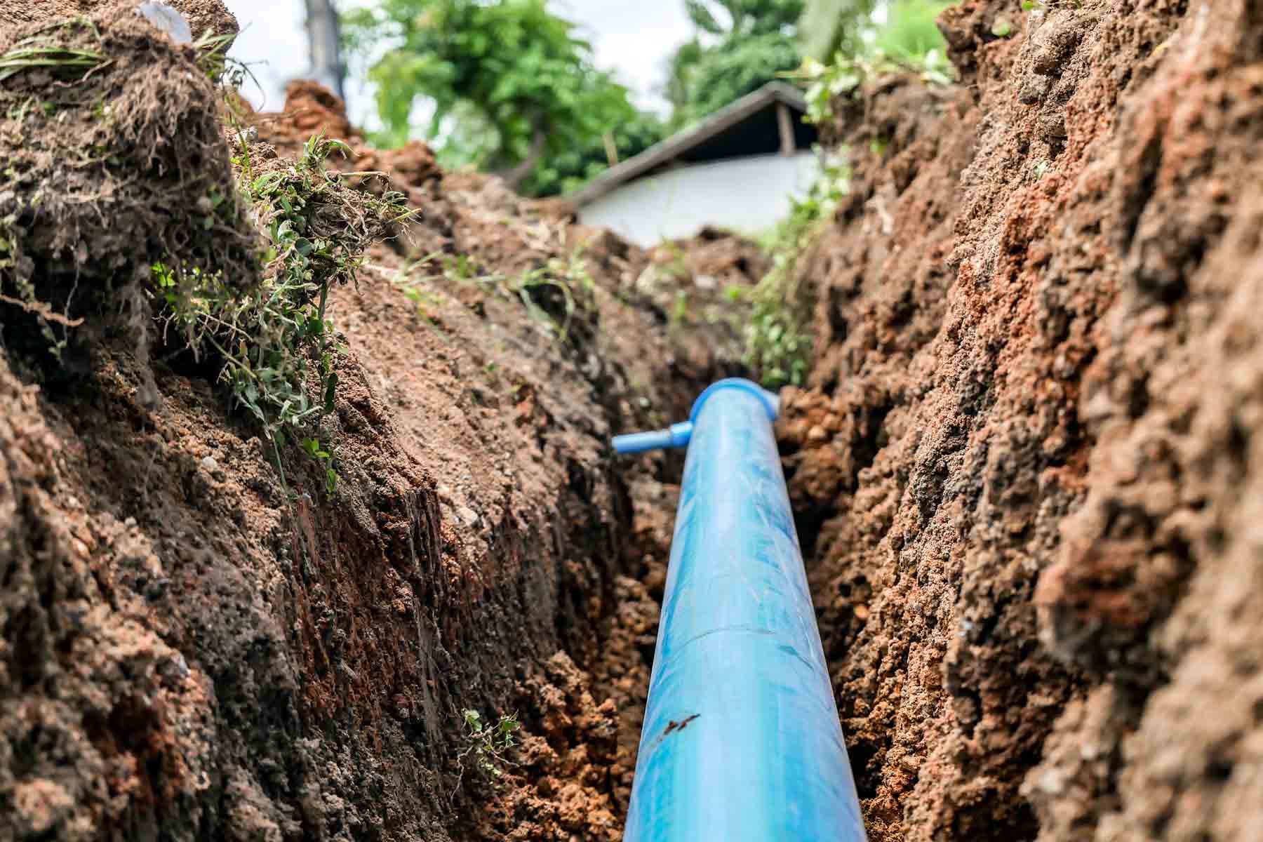 7 Warning Signs of a Sewer Line Problem You Shouldn’t Ignore